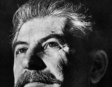 Miniatura: "Stalin niepotrzebnie ratował Polskę"