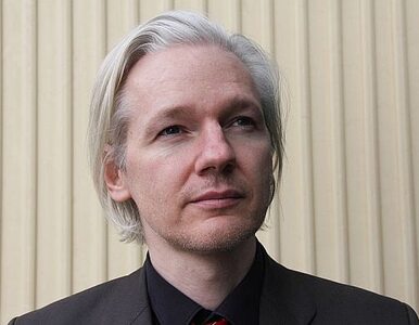 Miniatura: Ekstradycja Assange`a? "To byłoby nadużycie"