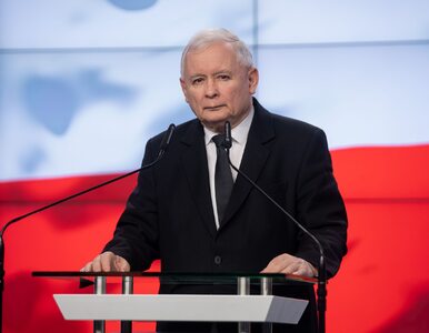 Miniatura: Kaczyński podjął decyzję: przyspieszonych...