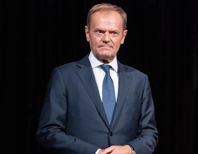 Miniatura: Donald Tusk wkracza do gry. „Dał zielone...