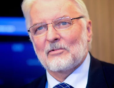 Miniatura: „Karły polityczne”. Waszczykowski...