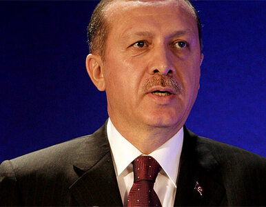 Miniatura: Erdogan zapowiada nową konstytucję