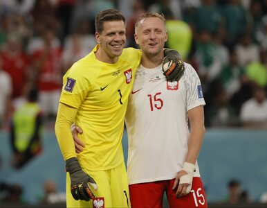 Miniatura: Znamy sędziego meczu Polska – Argentyna....