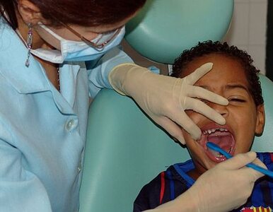 Miniatura: Dzieci będą leczyć zęby w... autobusie