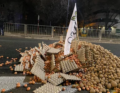 Miniatura: Protest przy domu Jarosława Kaczyńskiego...