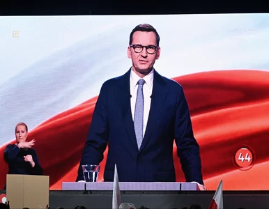 Miniatura: Morawiecki porównał PO do Lidla. Sieć...