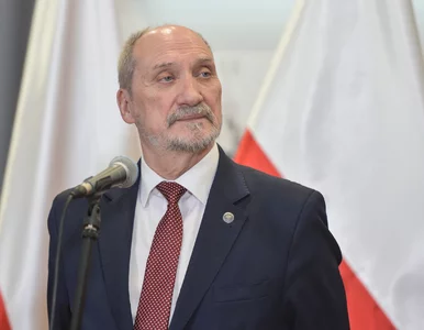 Miniatura: Macierewicz: Wszystkie media rosyjskie...