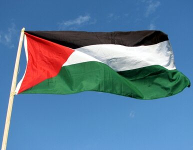 Miniatura: Międzynarodowa zrzutka: Palestyna dostanie...