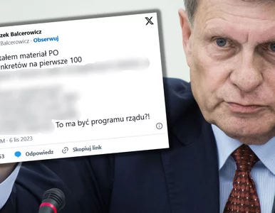 Miniatura: Balcerowicz zakpił z PO. „To ma być...