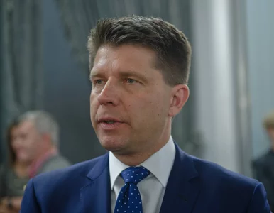 Miniatura: Petru: PiS i PO nawzajem się wyrzynają