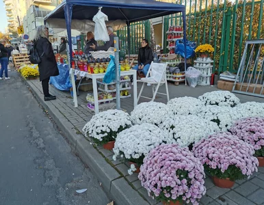 Miniatura: Wszystkich Świętych droższe niż przed...