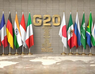 Miniatura: Nie wszyscy uczestnicy szczytu G20 chcieli...