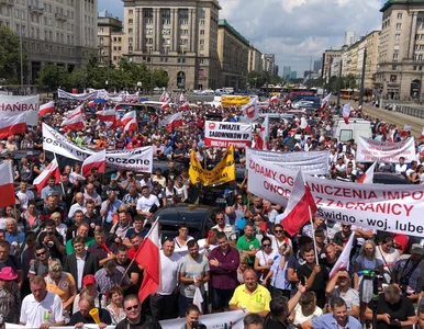 Miniatura: Protest rolników w Warszawie. Sprzeciwiają...