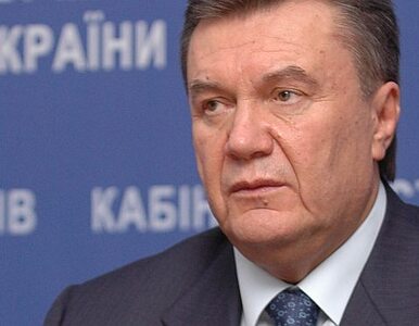 Miniatura: Janukowycz krytykuje projekt gazociągu...