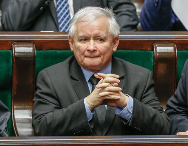 Zeit Online o pragmatyzmie Kaczyńskiego: Cofnie się, jeśli straty...