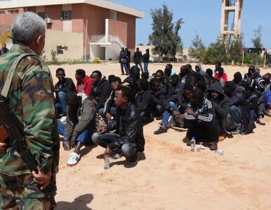 Miniatura: 14 zabitych w Libii. "W tej walce nie...
