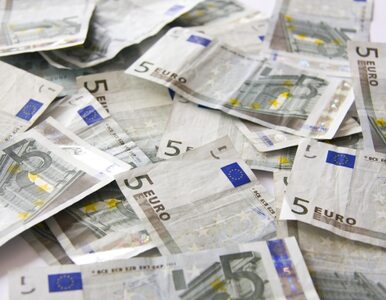 Miniatura: Niemcy będą płacić niższe podatki