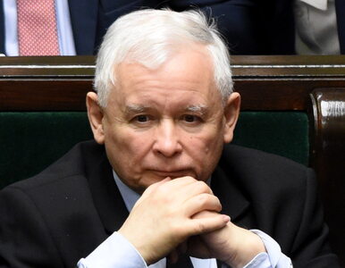 Miniatura: Kaczyński potwierdził chęć wybudowania...