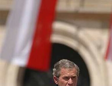 Miniatura: W kwietniu Bush przyjmie Tuska