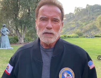 Miniatura: Arnold Schwarzenegger miał wypadek...