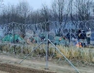 Miniatura: Kryzys na granicy z Białorusią. Od sankcji...