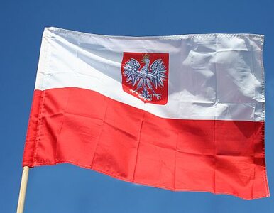Miniatura: Pawłowicz: Polski już nie ma