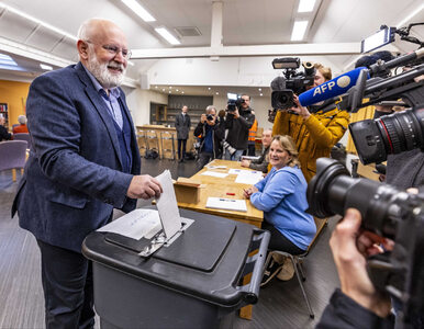 Miniatura: Holandia wybiera premiera po raz pierwszy...