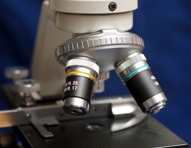 Miniatura: Testy genetyczne? RPO apeluje do premiera