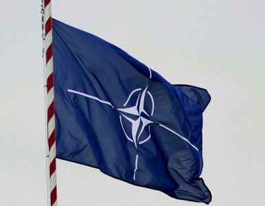 Miniatura: Wielkie manewry NATO przy granicy z Rosją