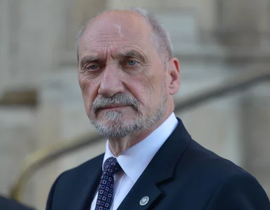 Miniatura: Macierewicz zapowiada ujawnienie...