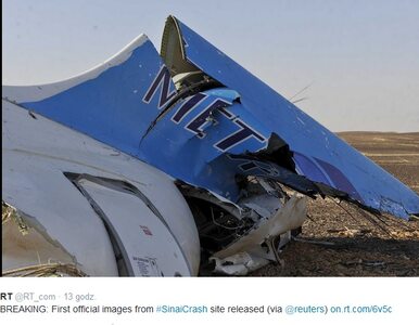 Miniatura: Katastrofa rosyjskiego samolotu. Śledztwa...