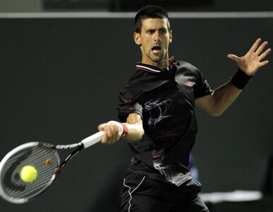 Turniej ATP w Miami: Argentyńczyk nie dał rady, Djokovic w finale