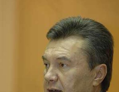 Miniatura: Janukowycz: zakończę pomarańczową rewolucję
