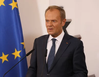 Miniatura: Donald Tusk zlecił sondaż prezydencki?...