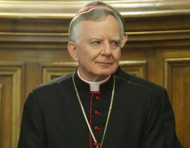 Miniatura: Biskupi wybrali wiceprzewodniczącego KEP
