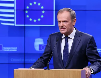 Miniatura: Donald Tusk: To będzie ważny tydzień dla...