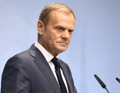 Miniatura: Donald Tusk rozważa stworzenie nowej partii?