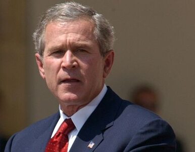 Miniatura: Bush: Obama ma ciężką pracę. Nie będę mu...