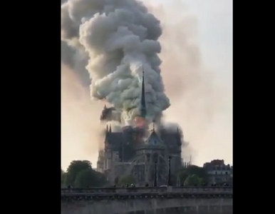 Miniatura: Paryż. Pożar w katedrze Notre Dame. Runęły...