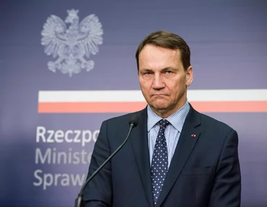 Miniatura: Sikorski „pisał o tym, zanim stało się...