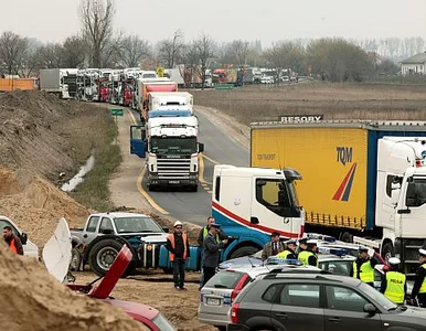 Miniatura: PiS, SLD i SP razem walczą o wykonawców...