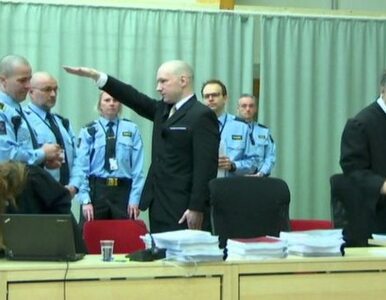 Pierwszy dzień nowego procesu i prowokacja Breivika