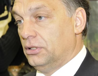 Miniatura: Orban: Polska powinna mieć silny rząd