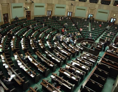 Miniatura: Sejm przyjął informację rządu dotyczącą...