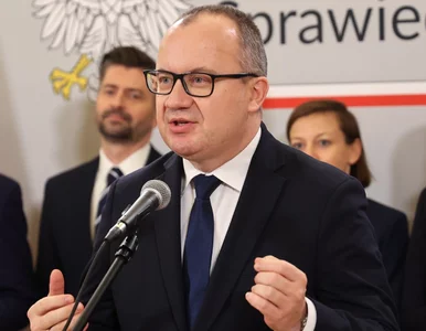 Miniatura: Bodnar domaga się informacji o działaniach...