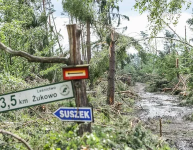 Miniatura: Dramat tysięcy mieszkańców po wichurach....