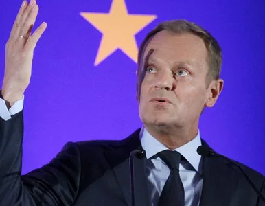 Miniatura: Tusk: PO zdało egzamin. Polska bezpiecznie...