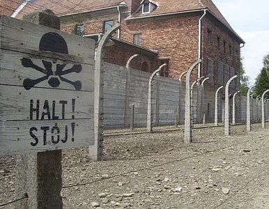 Miniatura: Król Belgów odznaczył dyrektora Auschwitz