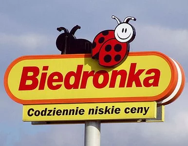 Miniatura: Biedronka coraz większa. Dzięki Polsce