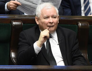 Senator PiS opublikuje nieznane zdjęcia Kaczyńskiego. Jedno już budzi...